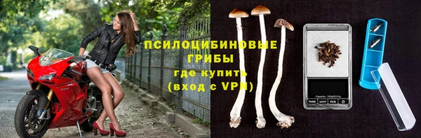прущая мука Бородино