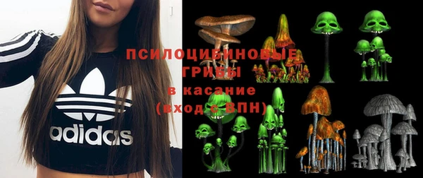прущая мука Бородино